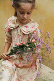 The Romantic dress Antoinette