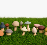 Wood + Silicone Mushroom Sorting Set