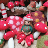 Wild Toadstools (Set of 3)