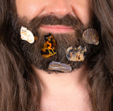 Barrette Chat Bengal