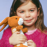 Velveteen rabbit soft toy + Book set
