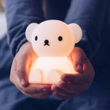 Boris Bundle of light