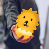 Lion Bundle of light