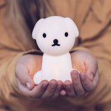 Snuffy Bundle of light