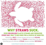 Wondersip reusable straw(standard 5set)