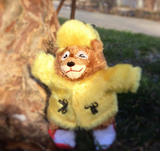 Little Fur child doll and Book set