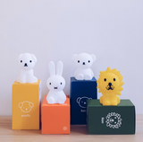 Boris Bundle of light