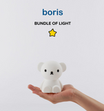 Boris Bundle of light