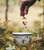 Enamel Bowl 6dl (Pippi and the horse)