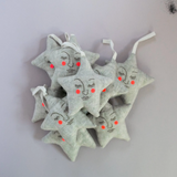 Handsome star (Lavender ornament)