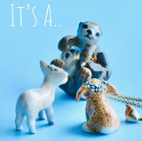 Necklace in a bookbox ( 4 styles)