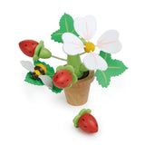 Strawberry flower pot
